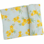 Daffodils